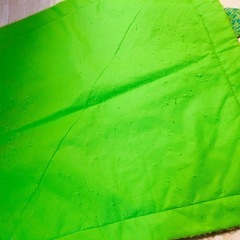 フィッシャープライス　レインフォレスト・デラックスジムⅡの画像