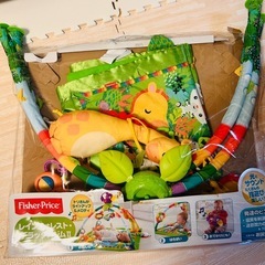 フィッシャープライス　レインフォレスト・デラックスジムⅡの画像