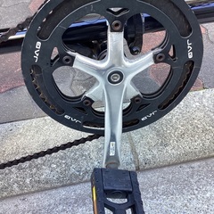 🚴 Nano12インチの画像