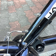 🚴 Nano12インチの画像