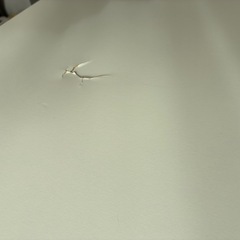 12/13まで無料　IKEA ローテーブルの画像