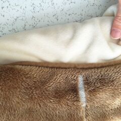 こたつセットの画像