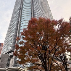 🌸ガラスコーティング受付中｜ミロワールコート六本木店