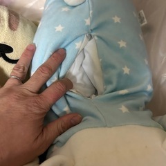 ぬいぐるみ　いろいろの画像