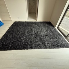 防炎ラグ　　200×250の画像