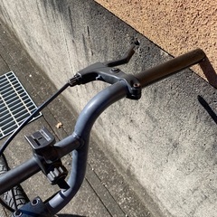 パープルタマムシカラー　自転車の画像