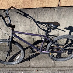 パープルタマムシカラー　自転車の画像