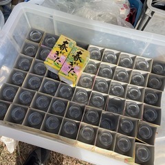 ガラスコープの画像