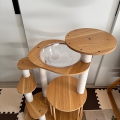 キャットタワーの画像