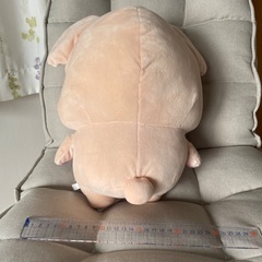 恵庭市　プリキュア　ぷちきゅあ　ぬいぐるみ　もふるんの画像