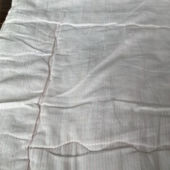 ニトリ　掛け布団の画像