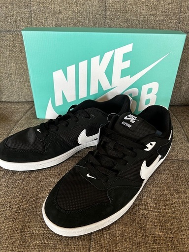 NIKE靴　  ナイキSBアリウープ28.0
