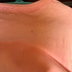 ミキハウス　　ホットビスケッツ　子供服の画像