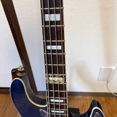 【レアデザイン】Bacchus Universe Series  エレキベース ジャズベースタイプ （アクティブ）の画像