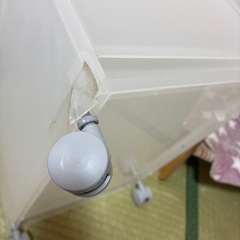 無印　ポリプロピレンストッカーの画像