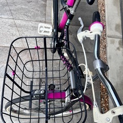 24インチ　子供用自転車　ブリヂストン　ワイルドベリー
　の画像