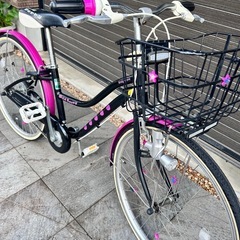 24インチ　子供用自転車　ブリヂストン　ワイルドベリー
　の画像