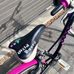 24インチ　子供用自転車　ブリヂストン　ワイルドベリー
　の画像