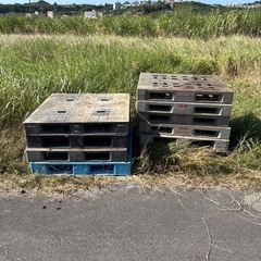 パレットあげます！の画像