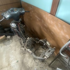 シグナス2型書付きフレームの画像