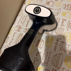 スチームアイロンの画像