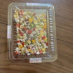 ドライフラワー　の画像