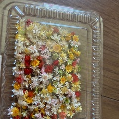 ドライフラワー　の画像