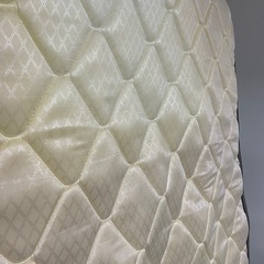 マットレス(コイルスプリング) NTEXPSMの画像