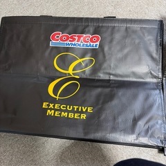 2枚大きめコストコバッグの画像