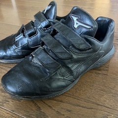 野球　トレーニングシューズ　27センチの画像