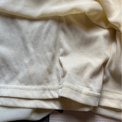 axesシフォンレースの画像