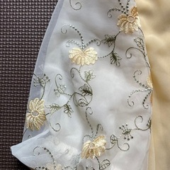 axesシフォンレースの画像