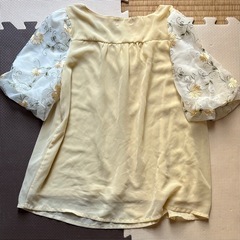 axesシフォンレースの画像