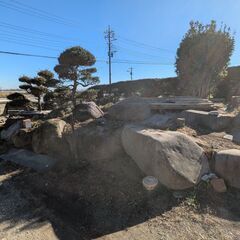大きな庭石あげます　引取限定の画像