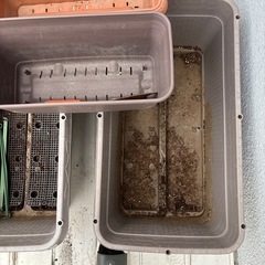 プランター　大２つ　小２つの画像