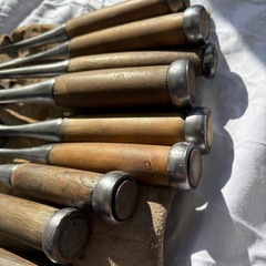 ﾉﾐ14本
の画像