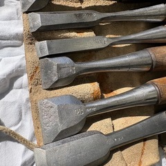 ﾉﾐ14本
の画像