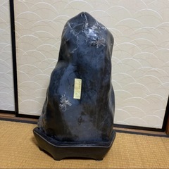 大きな大きな菊花石の画像