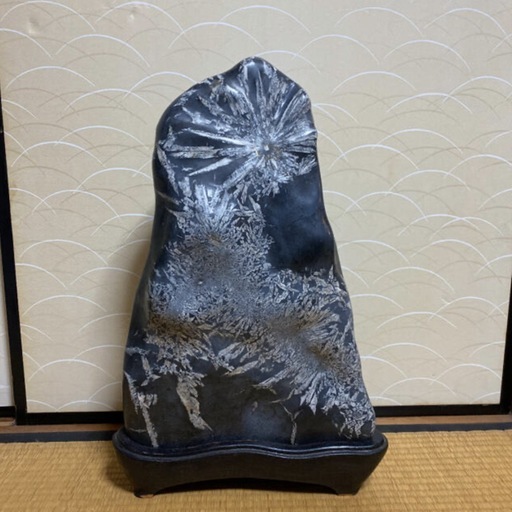 大きな大きな菊花石