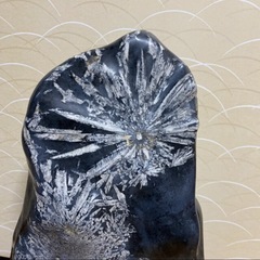 大きな大きな菊花石の画像