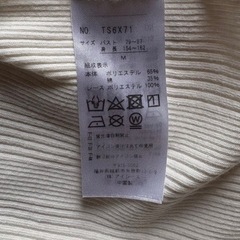 axesカットソーの画像