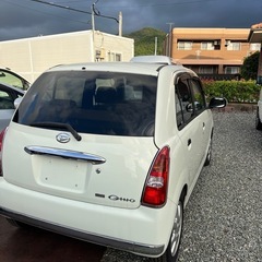 ダイハツギノの画像