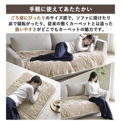 ふかふかホットカーペット【丸洗い可能】の画像