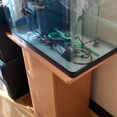 今日明日限定:水槽セット60x30x30 の画像
