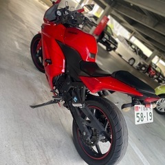 本日限定15万のみ！ニンジャ　ninja 250の画像