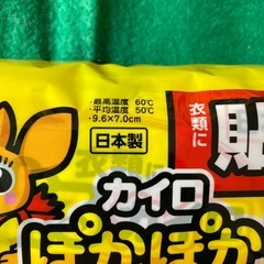 　【即お渡し可能】未開封　アイリス　貼るカイロ　60個　 ポカポカ家族ミニの画像