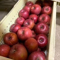 明日諏訪に行きます！安曇野産！どなたでも何キロでも！ジュース用のそのまま食べられるりんごの画像