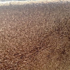 ブラウン　シャギーラグ　約200 240cmの画像