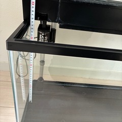 GEX水槽などの画像