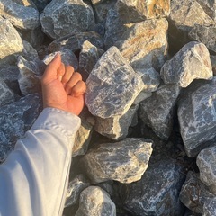 ドライガーデン(本部石)の画像